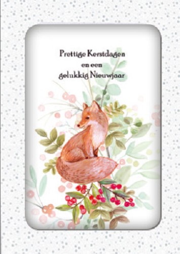 Kerstkaartendoosje Met 10 Kaarten, "vos Prettige Kerstdagen (655) - Ker